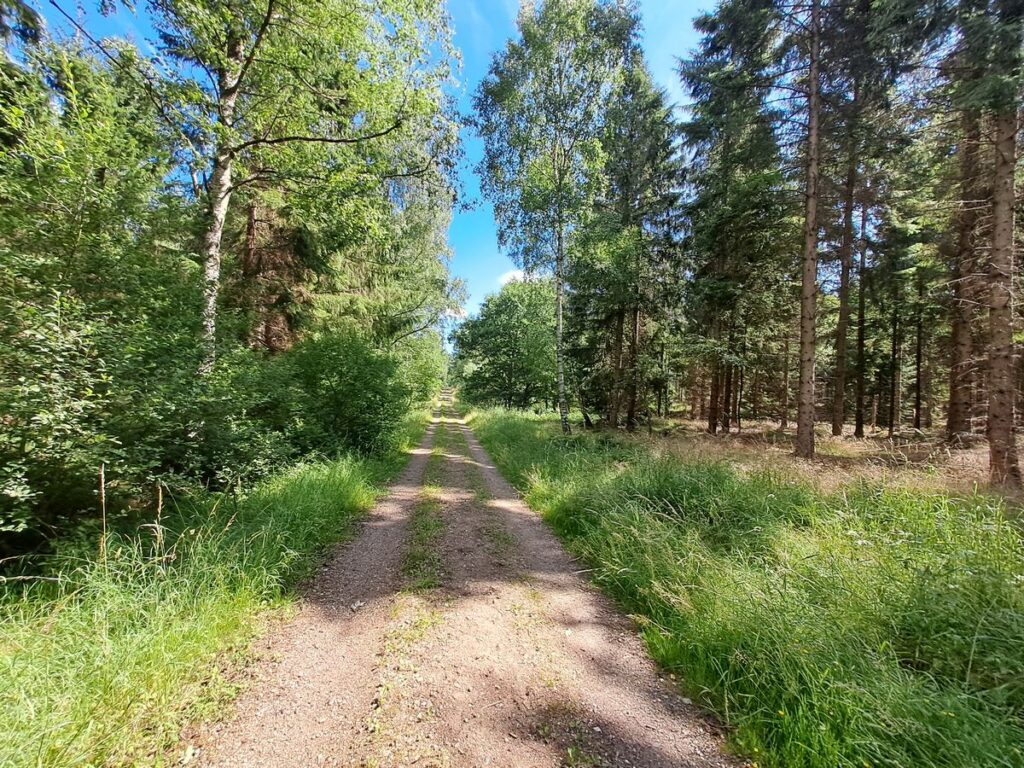 Billede 17 fra VANDRETUR EGEHJORTEN HILLERØD