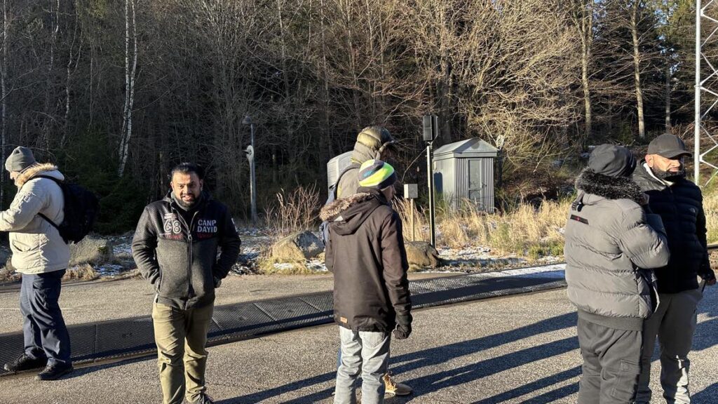 Billede 12 fra EGEHJORTEN VANDRETUR