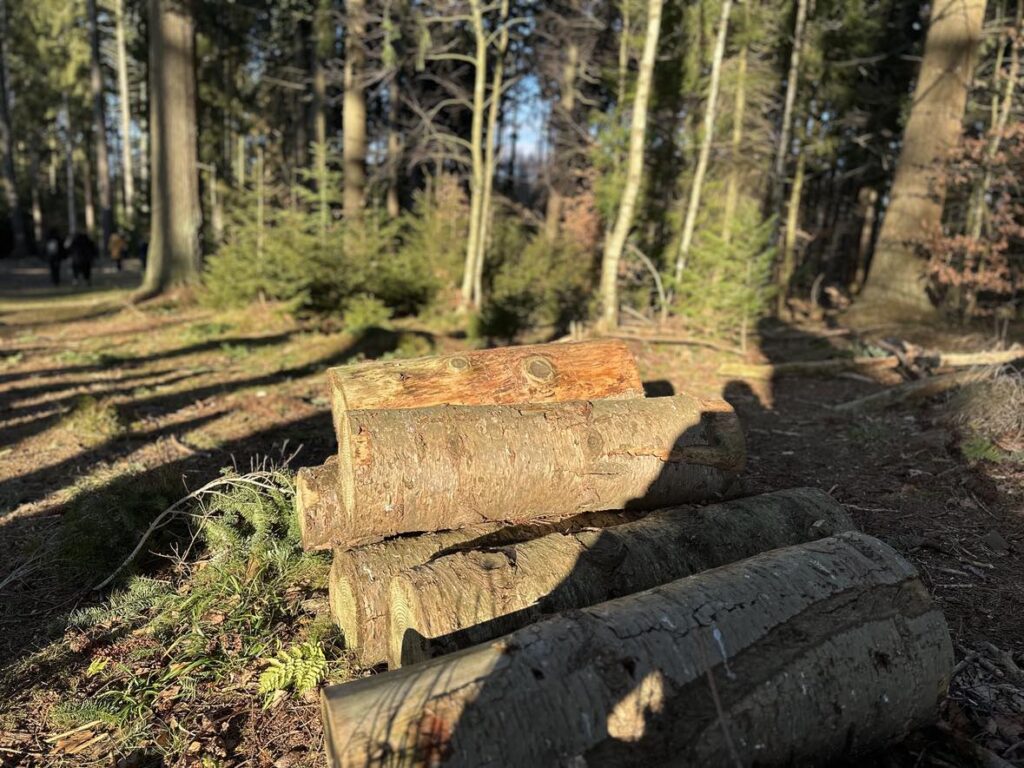 Billede 6 fra EGEHJORTEN VANDRETUR