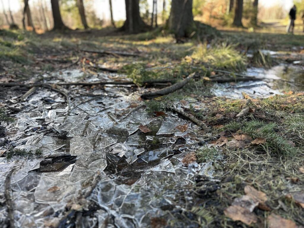 Billede 2 fra EGEHJORTEN VANDRETUR