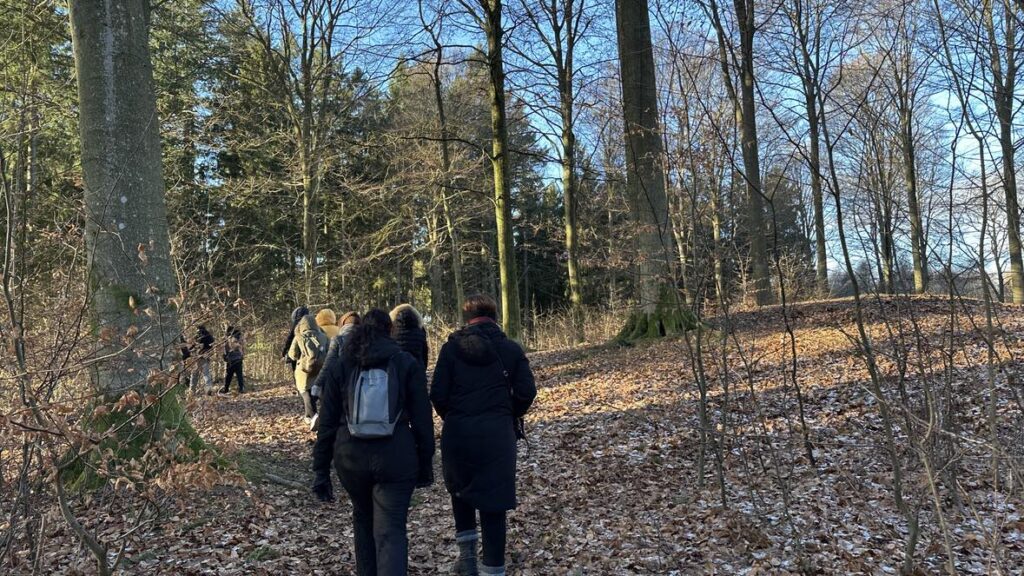 Billede 1 fra EGEHJORTEN VANDRETUR