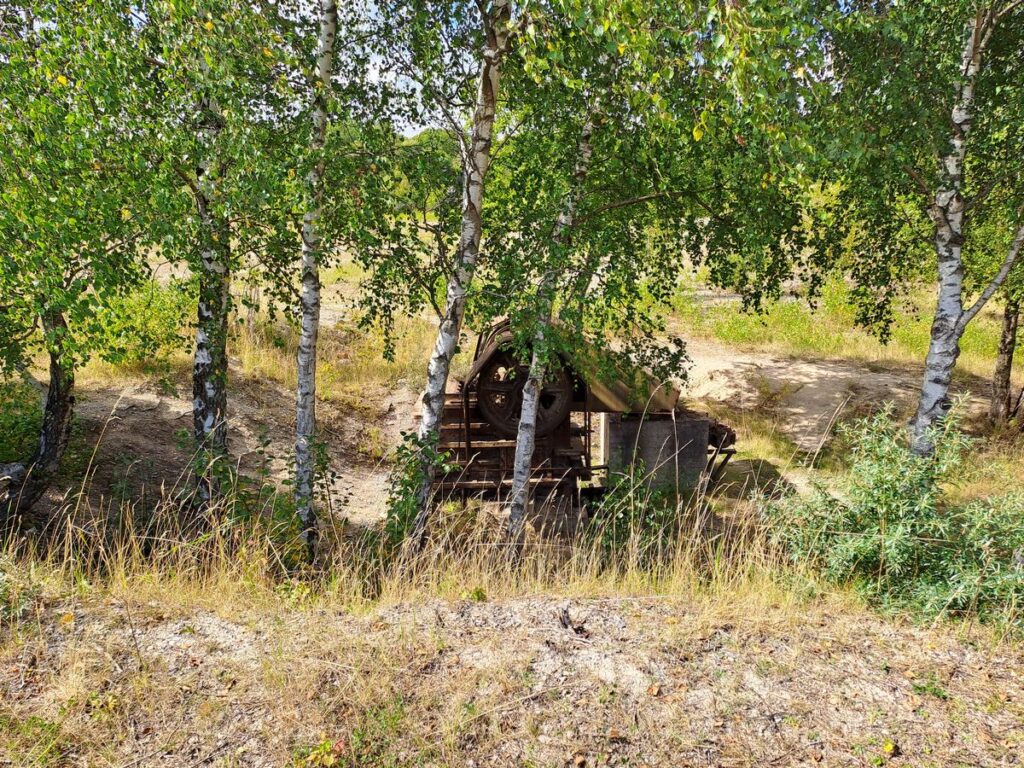 Billede 37 fra HEDELAND VANDRETUR