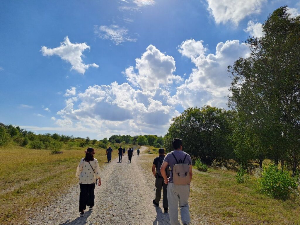Billede 23 fra HEDELAND VANDRETUR
