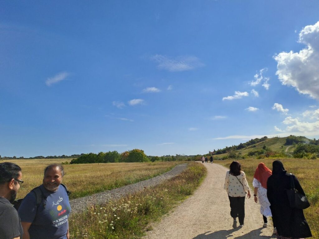 Billede 21 fra HEDELAND VANDRETUR