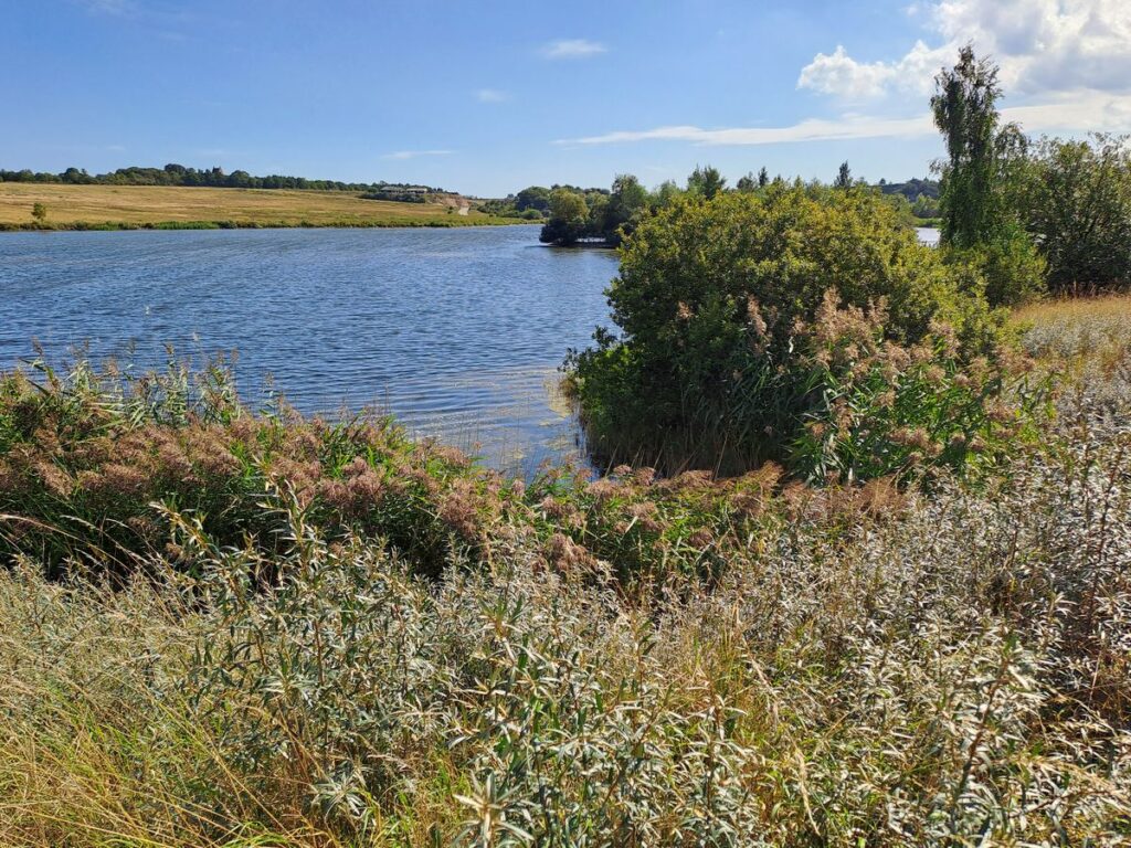 Billede 19 fra HEDELAND VANDRETUR