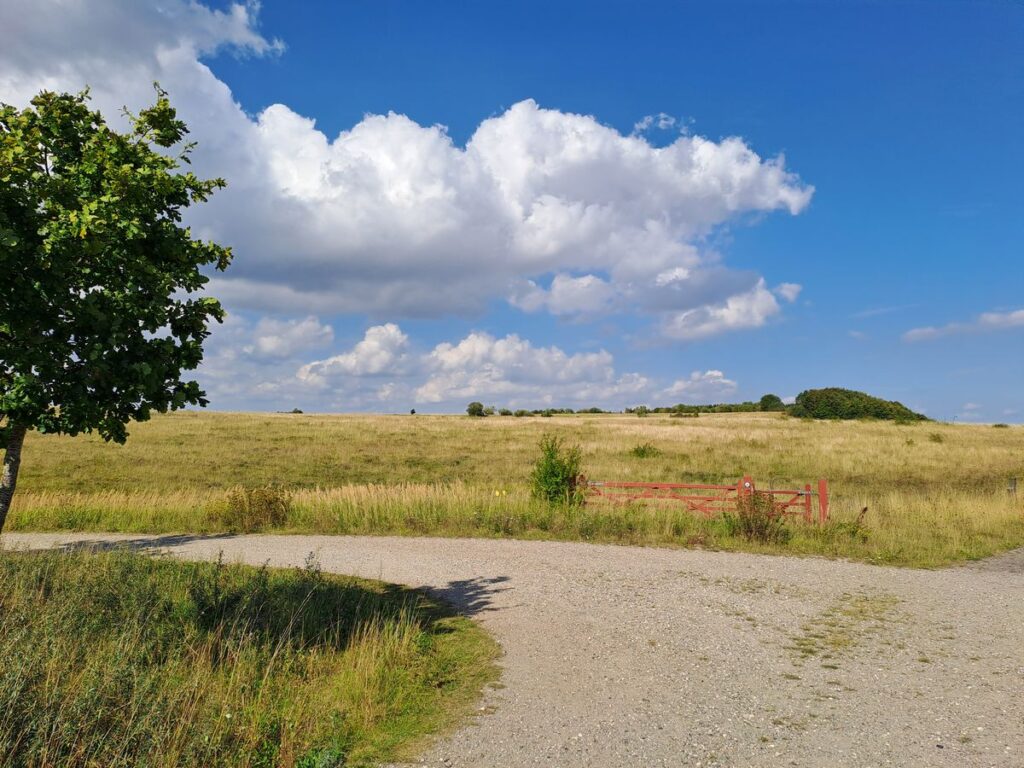 Billede 17 fra HEDELAND VANDRETUR