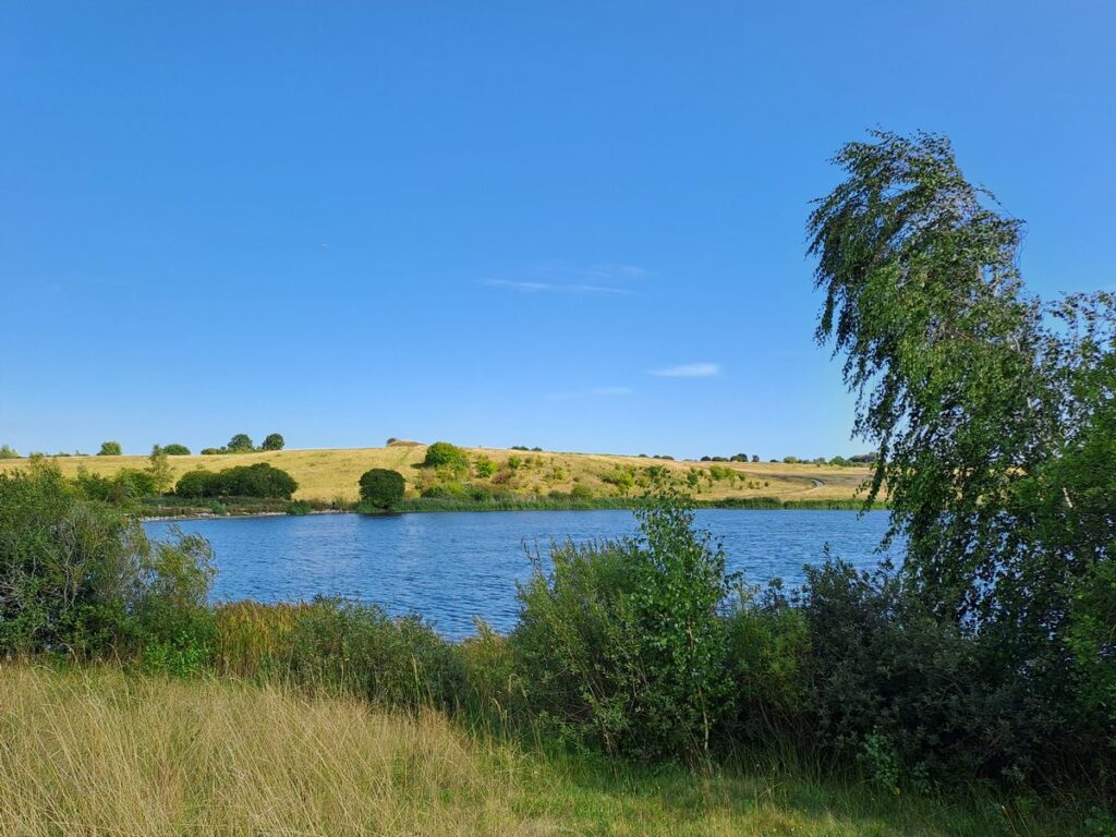 Billede 14 fra HEDELAND VANDRETUR