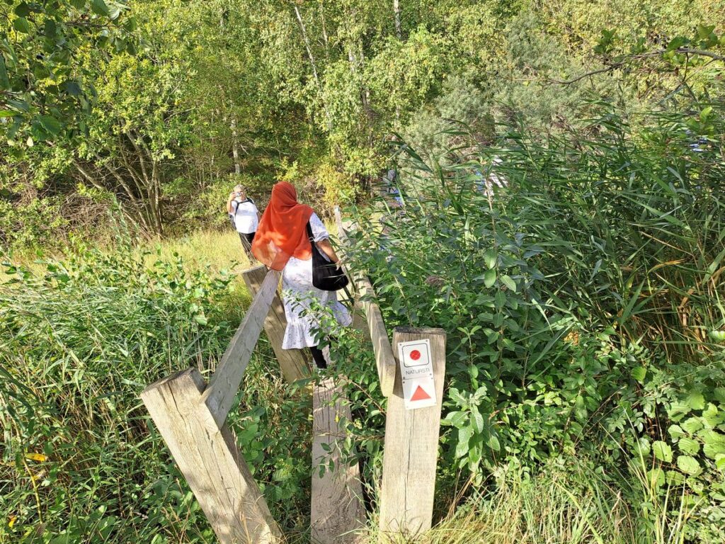 Billede 6 fra HEDELAND VANDRETUR