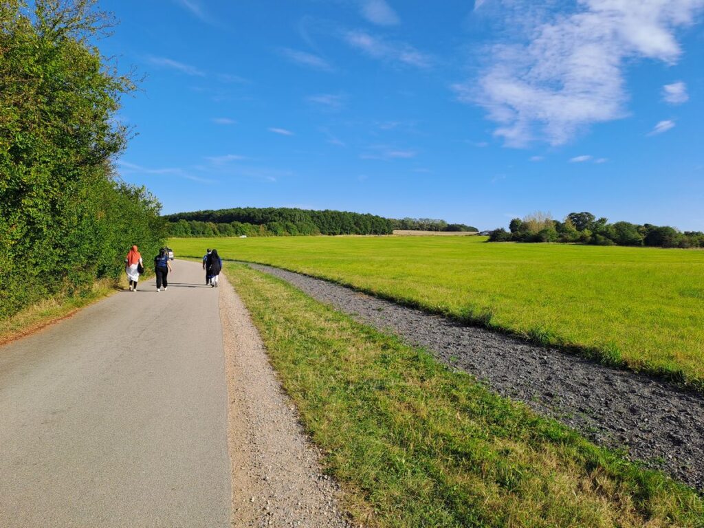 Billede 5 fra HEDELAND VANDRETUR