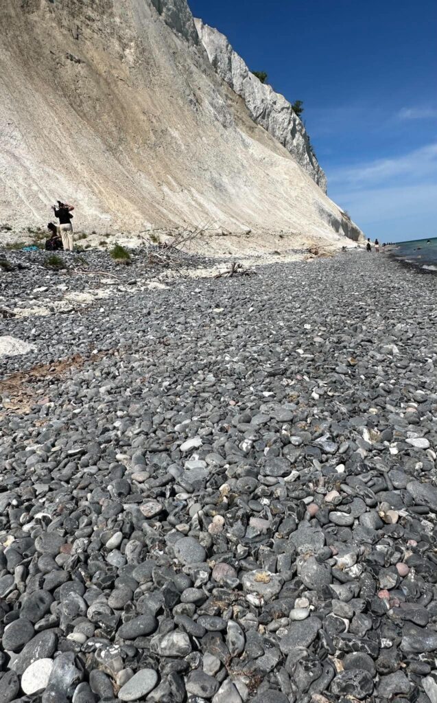 Billede 10 fra MØNS KLINT 2026