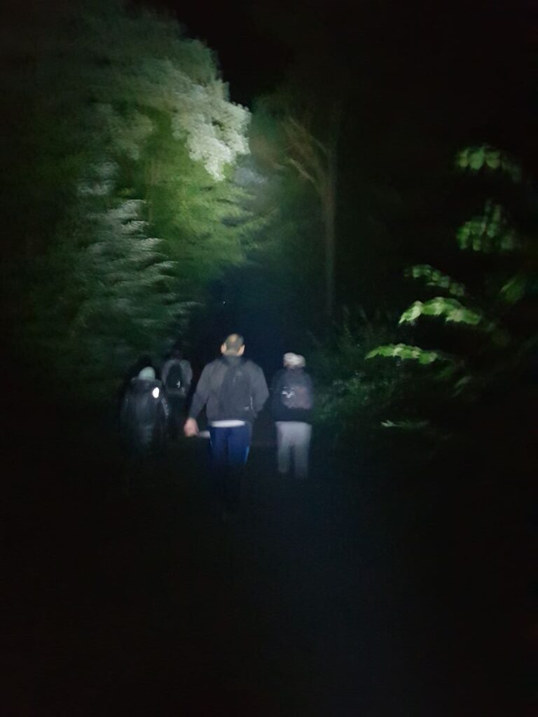 Billede 22 fra NATTEVANDRING