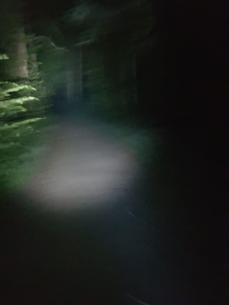 Billede 20 fra NATTEVANDRING