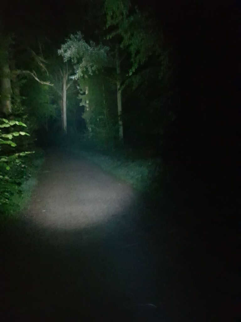 Billede 19 fra NATTEVANDRING