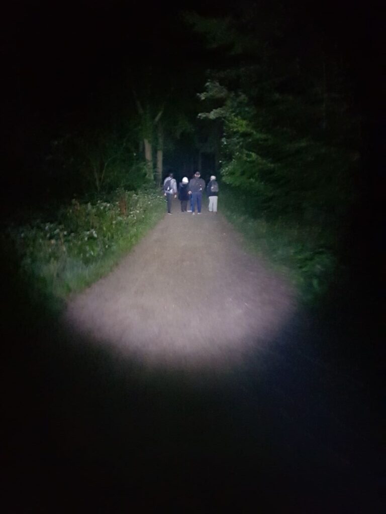 Billede 17 fra NATTEVANDRING