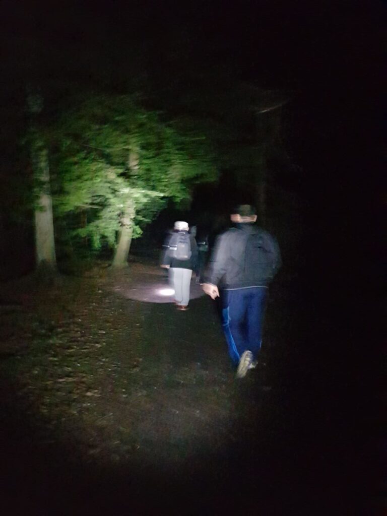 Billede 15 fra NATTEVANDRING