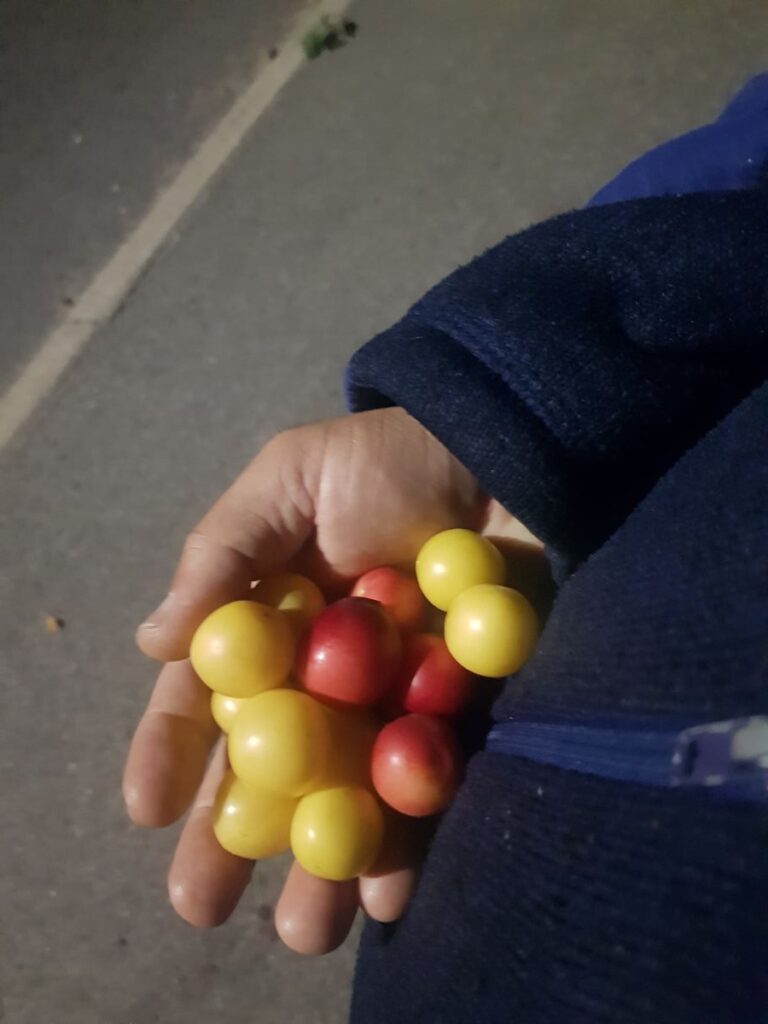 Billede 10 fra NATTEVANDRING