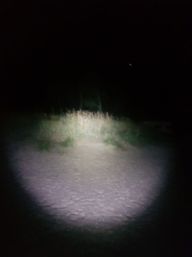 Billede 6 fra NATTEVANDRING