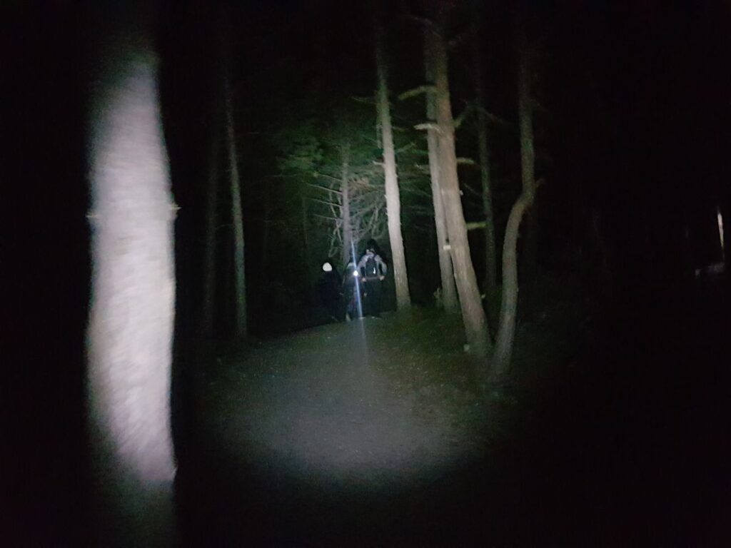 Billede 1 fra NATTEVANDRING