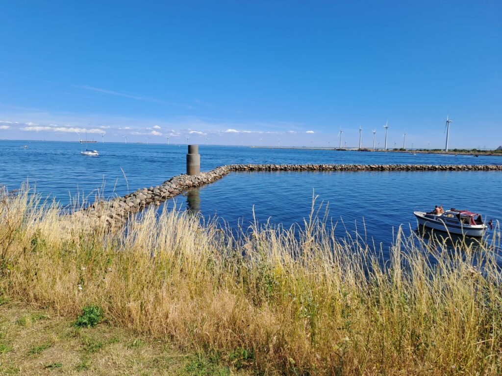 Billede 27 fra SEJLE OG FISKETUR KØBENHAVN