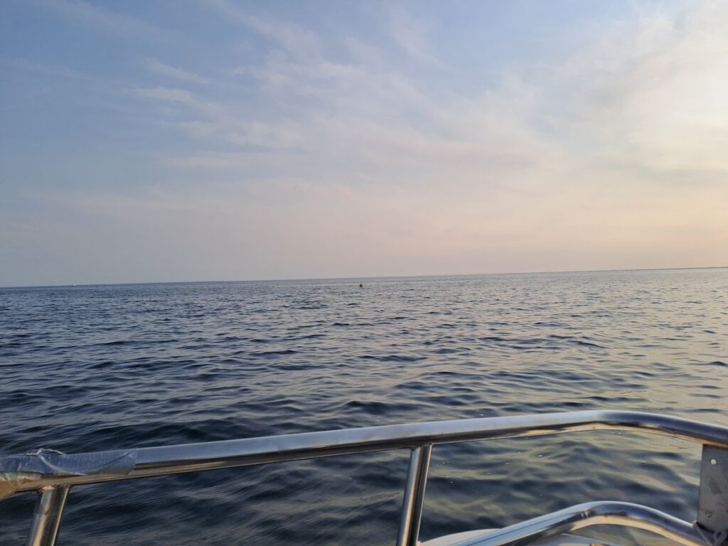 Billede 6 fra SEJLE OG FISKETUR KØBENHAVN