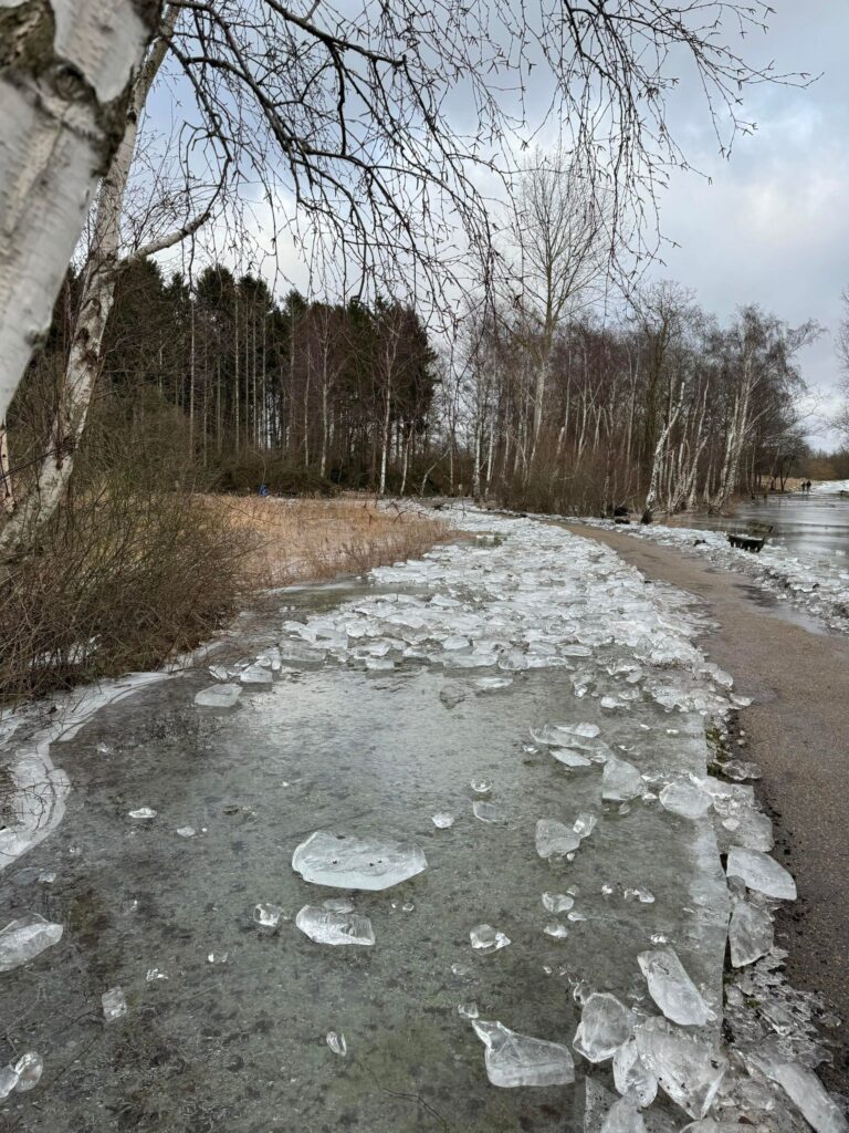 Billede 5 fra VANDRETUR-VALLENSBÆK